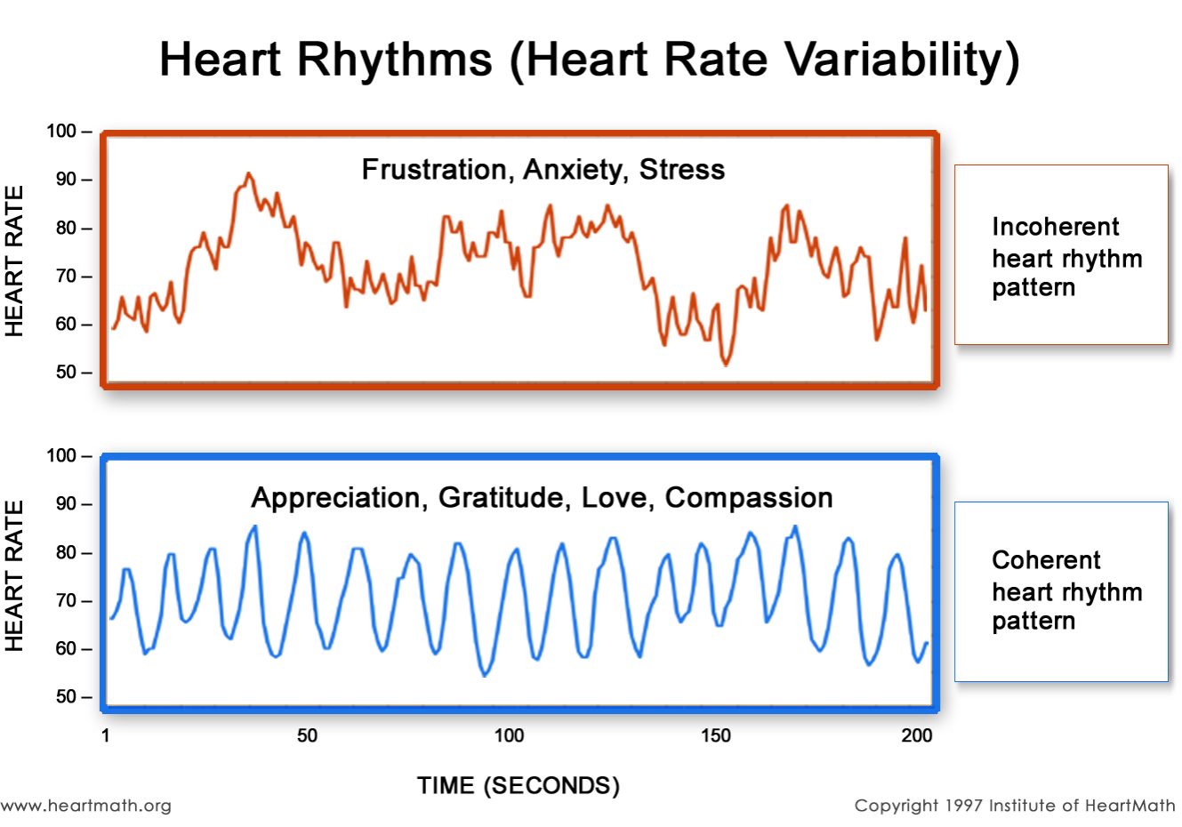 IP_Heart-Rhythm-graph_2a_300