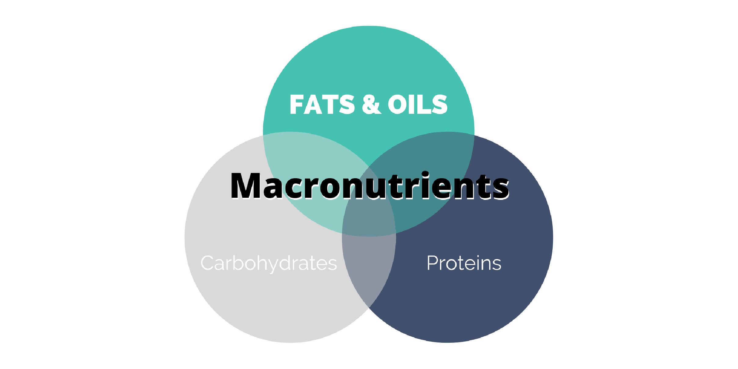 Macronutrients - FATS-04
